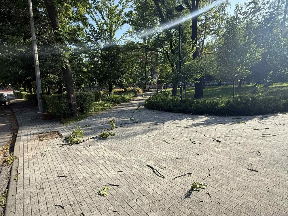 Skutki burzy w Rudzie Śląskiej 7