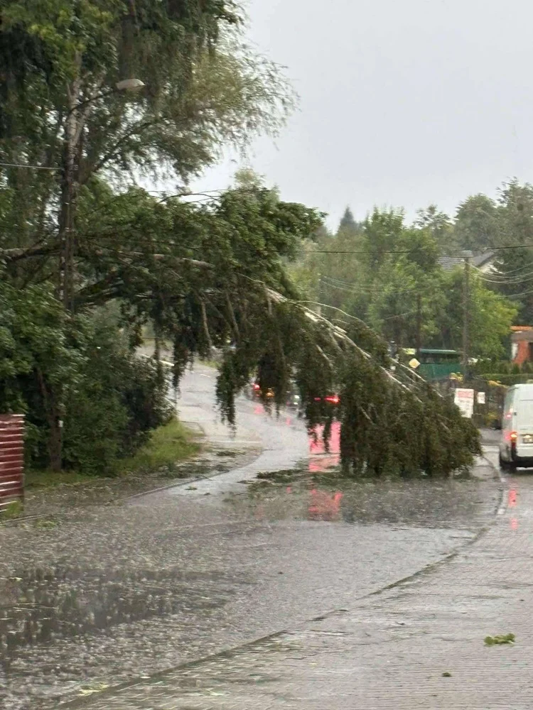 Skutki burzy w Rudzie Śląskiej 8