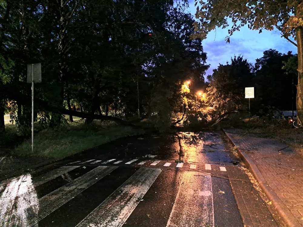 Skutki burzy w Rudzie Śląskiej 11