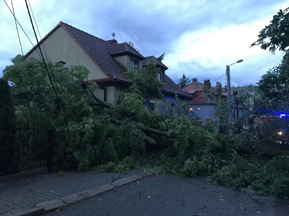 Skutki burzy w Rudzie Śląskiej 12