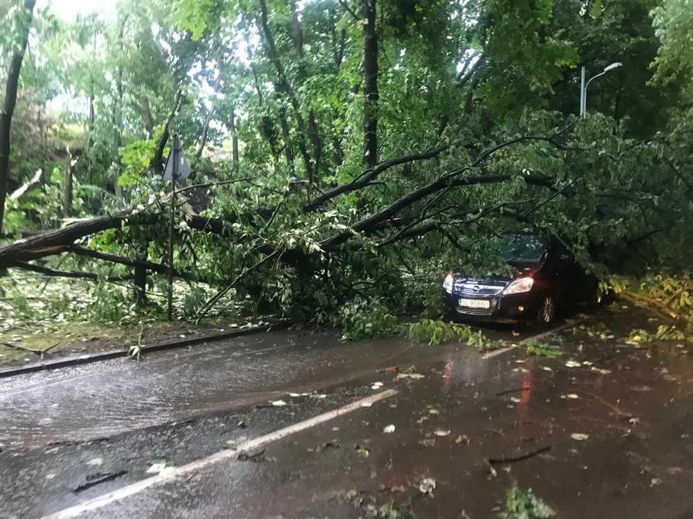 Skutki burzy w Rudzie Śląskiej 18