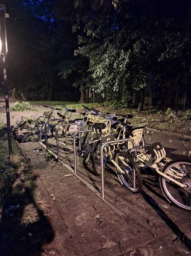 Skutki burzy w Rudzie Śląskiej 19