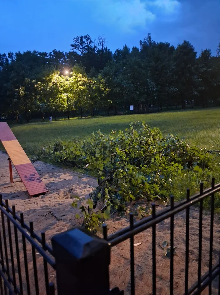 Skutki burzy w Rudzie Śląskiej 21