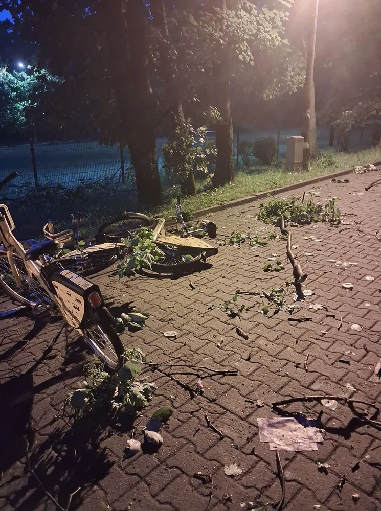 Skutki burzy w Rudzie Śląskiej 23