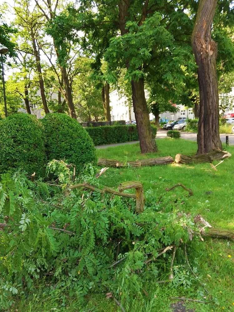 Skutki burzy w Rudzie Śląskiej 27