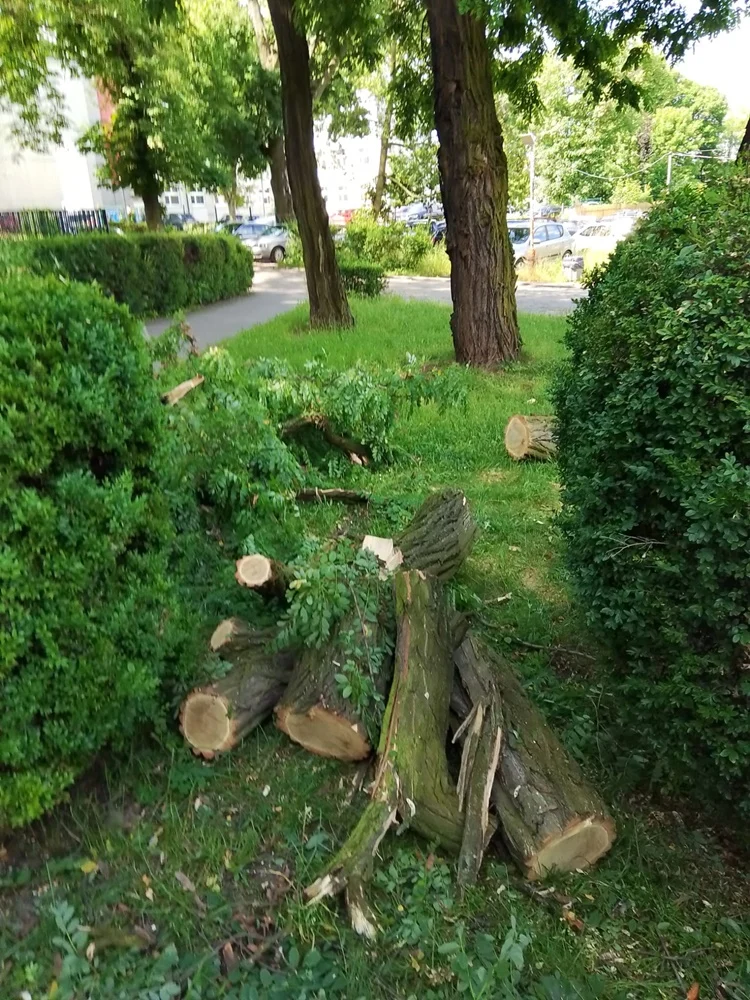 Skutki burzy w Rudzie Śląskiej 28