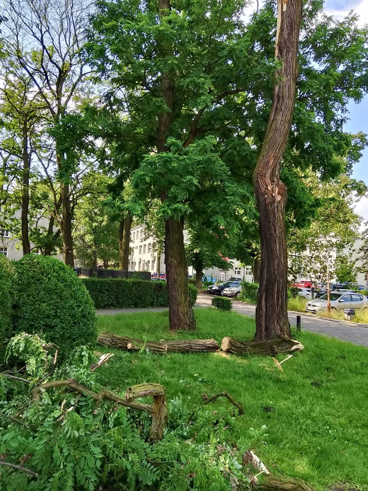 Skutki burzy w Rudzie Śląskiej 29