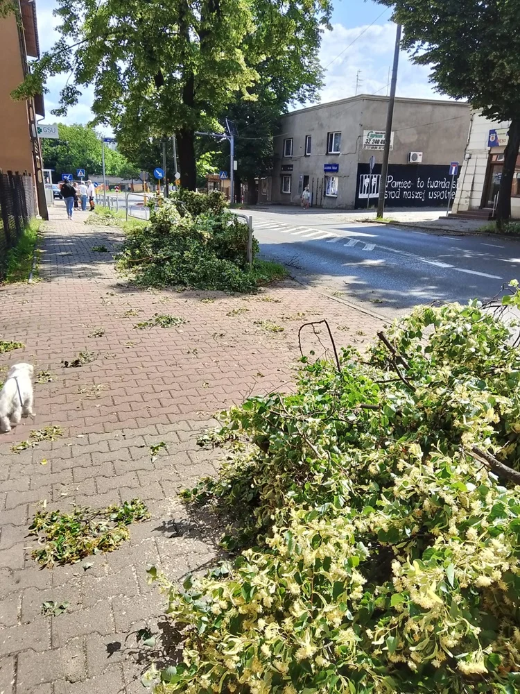 Skutki burzy w Rudzie Śląskiej 36