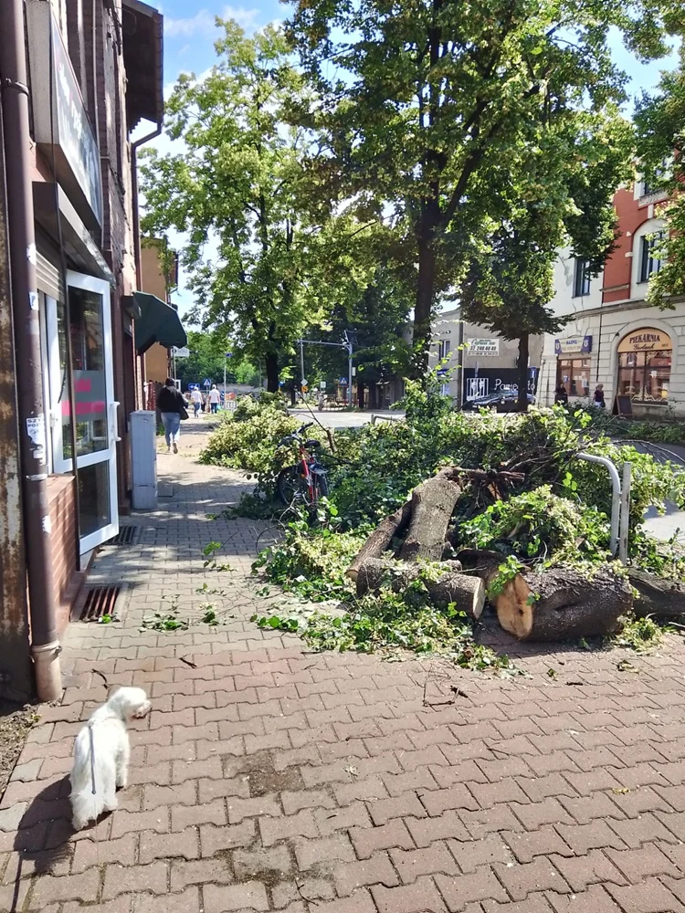 Skutki burzy w Rudzie Śląskiej 37