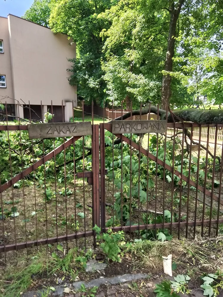 Skutki burzy w Rudzie Śląskiej 38