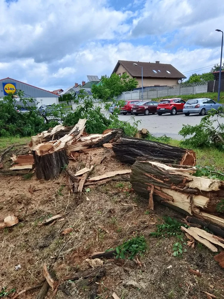 Skutki burzy w Rudzie Śląskiej 39