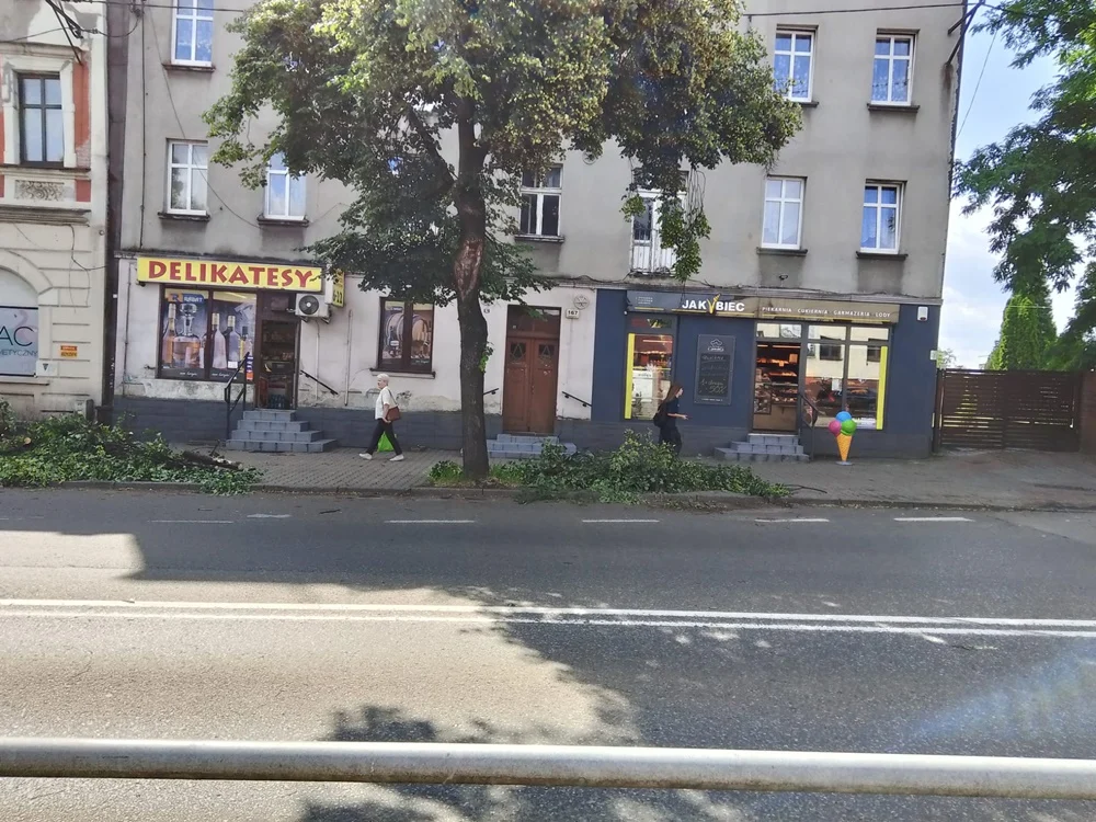 Skutki burzy w Rudzie Śląskiej 40