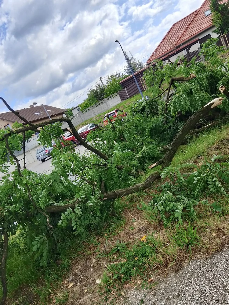 Skutki burzy w Rudzie Śląskiej 41