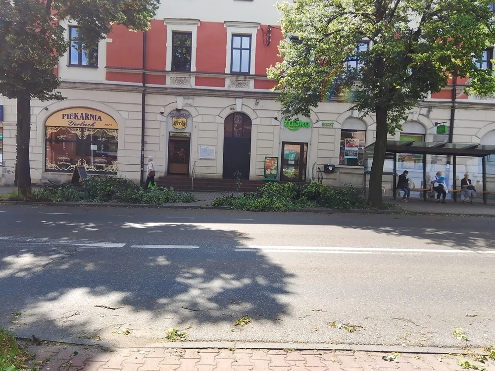 Skutki burzy w Rudzie Śląskiej 42