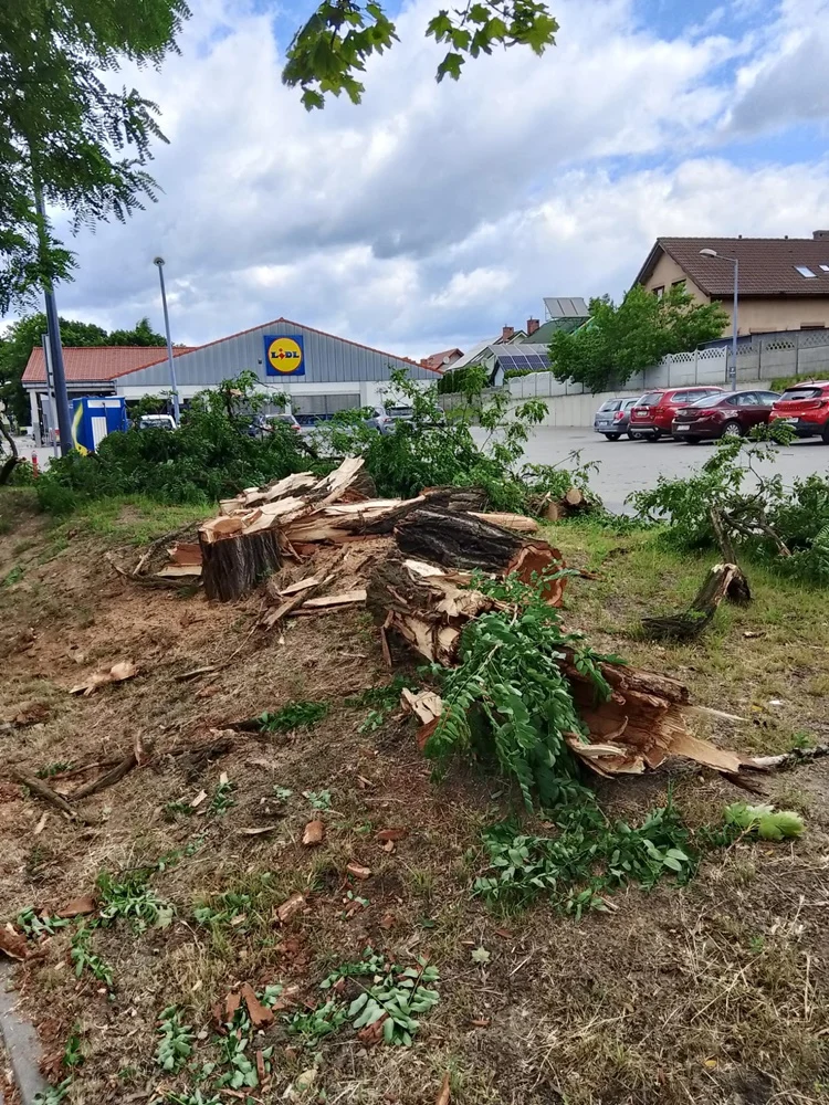 Skutki burzy w Rudzie Śląskiej 43