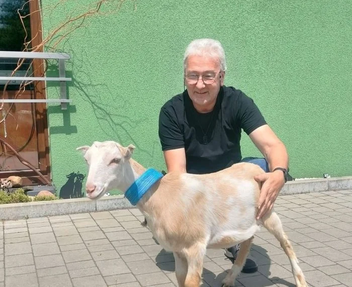 Wyjątkowa adopcja w Faunie – sprawdźcie podsumowanie tygodnia!