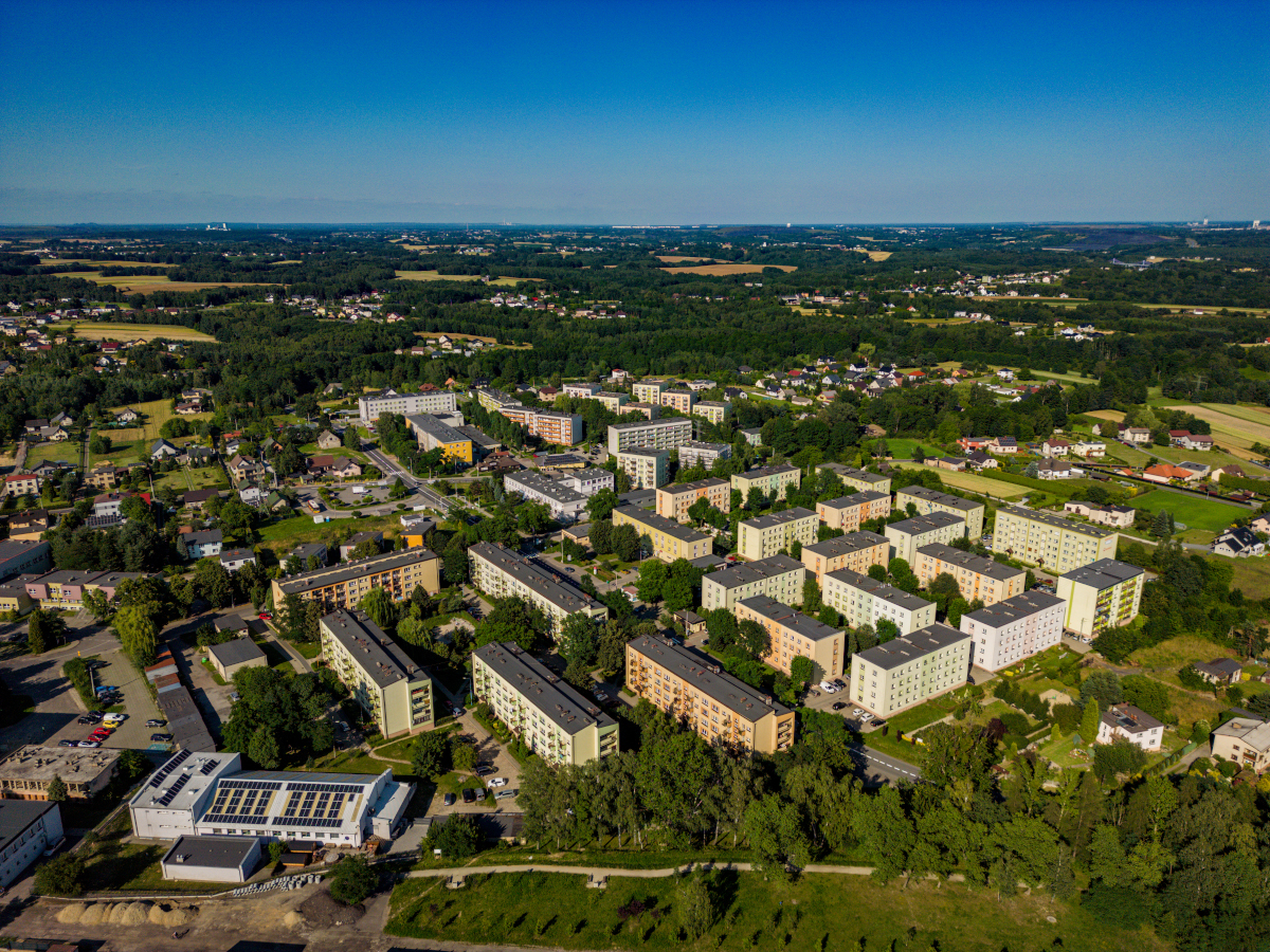 Wybory do rad dzielnic w Wodzisławiu Śląskim – szczegóły głosowań we wrześniu