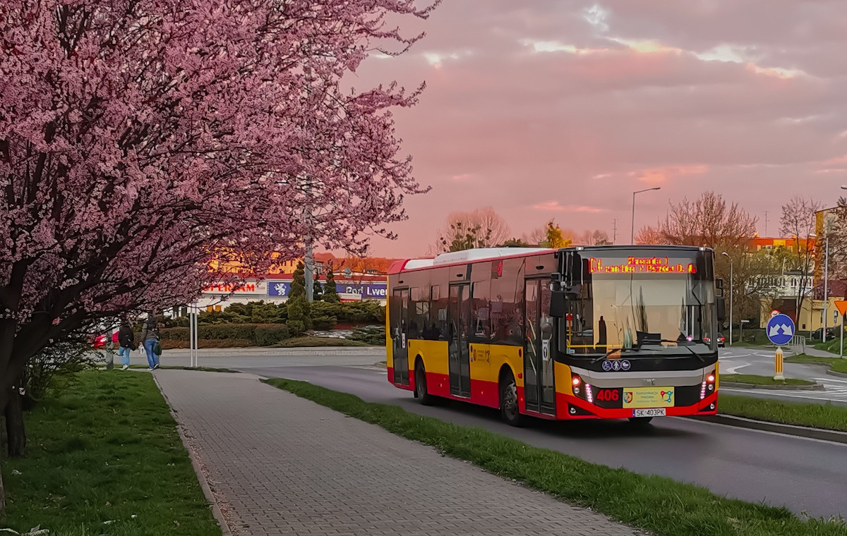 Wodzisław Śląski: wakacyjne zmiany w rozkładzie jazdy autobusów