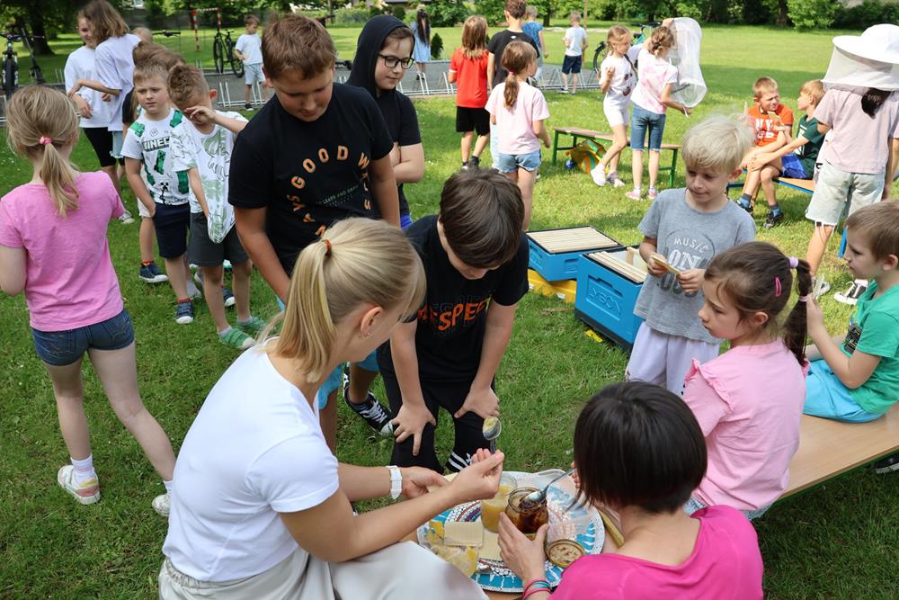 Warsztaty pszczelarskie w Szkole Podstawowej nr 2 im. Stanisława Moniuszki / fot. UM Orzesze