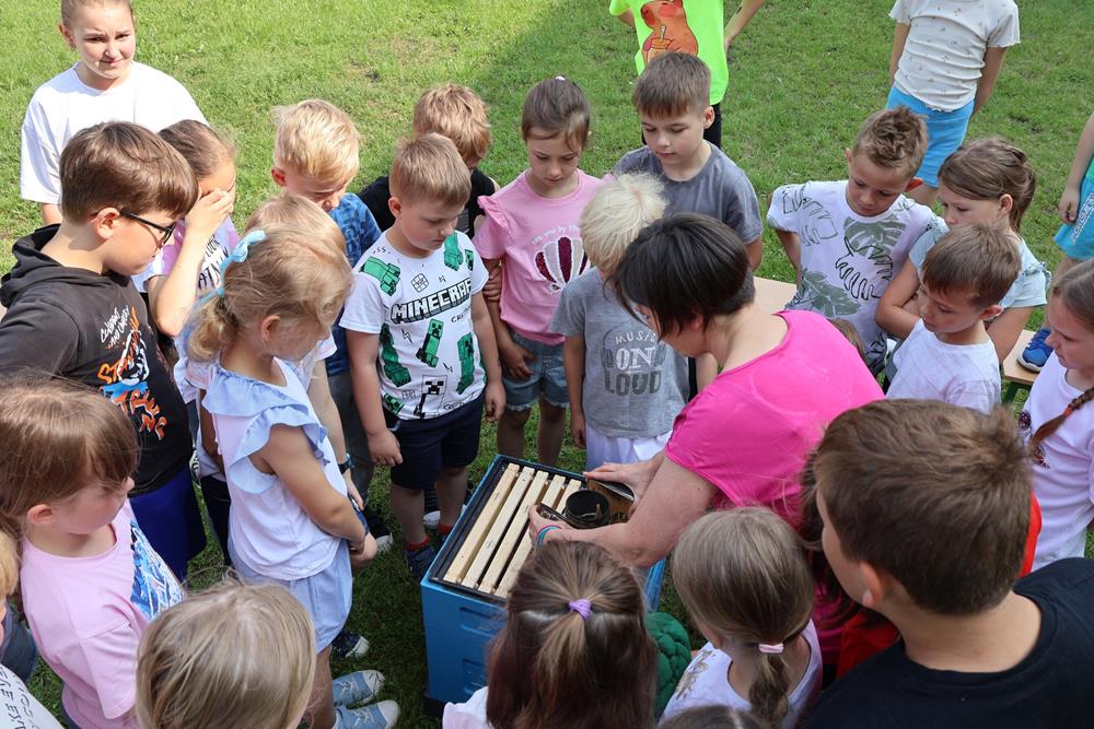 Warsztaty pszczelarskie w Szkole Podstawowej nr 2 im. Stanisława Moniuszki / fot. UM Orzesze