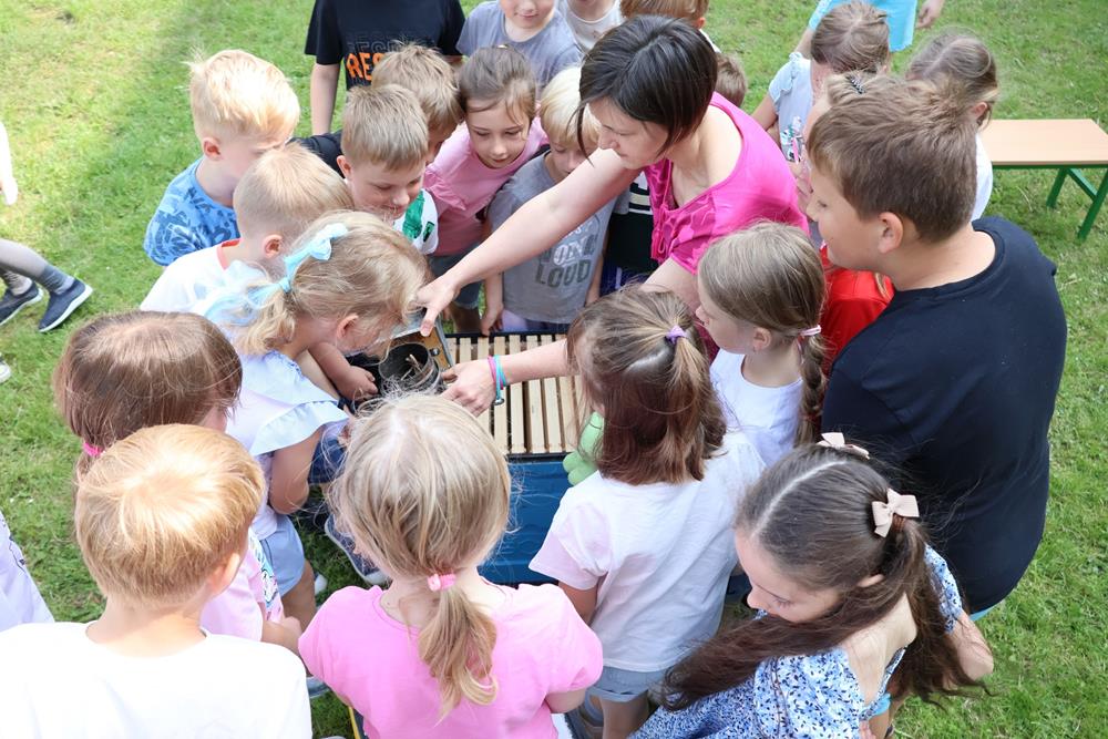 Warsztaty pszczelarskie w Szkole Podstawowej nr 2 im. Stanisława Moniuszki / fot. UM Orzesze