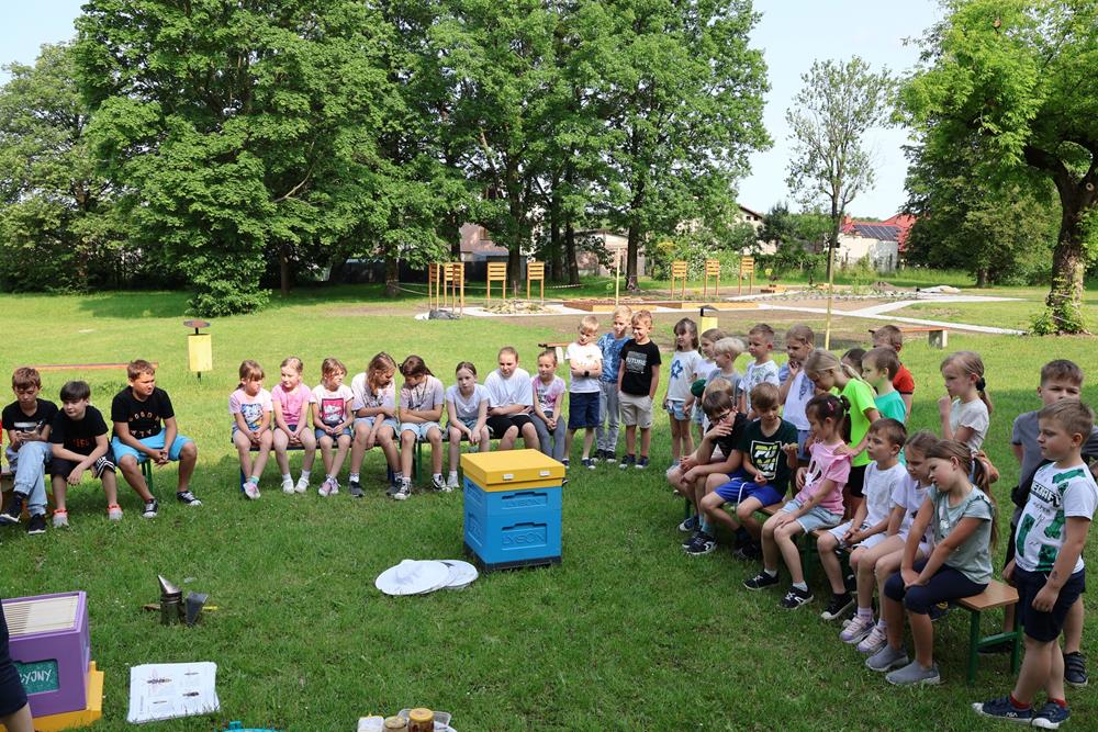 Uczniowie Orzesza poznali tajemnice pszczelarstwa – warsztaty w Szkole Podstawowej nr 2
