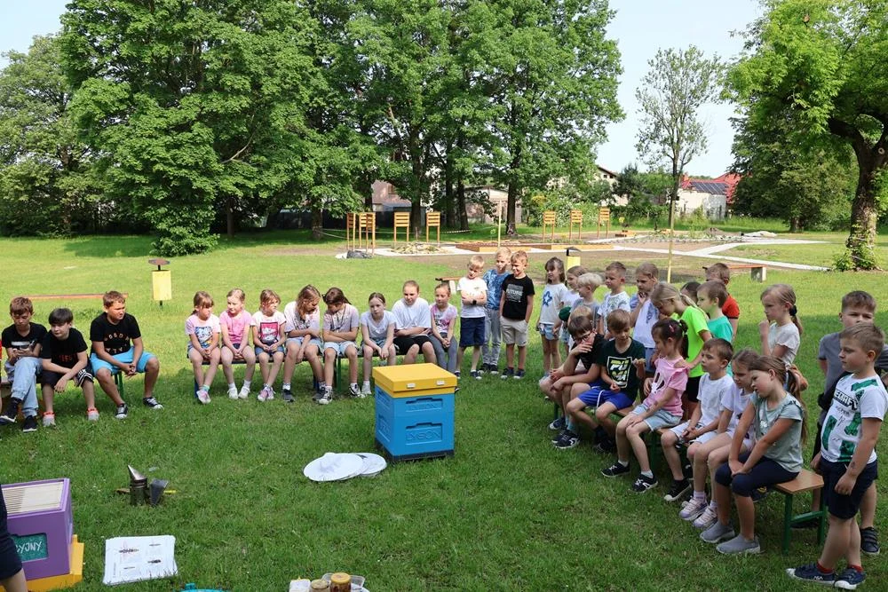 Uczniowie Orzesza poznali tajemnice pszczelarstwa – warsztaty w Szkole Podstawowej nr 2