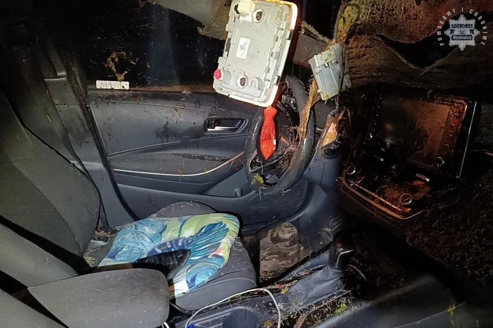 Zderzenie z łosiem na S1 w Mysłowicach. Kierowca trafił do szpitala