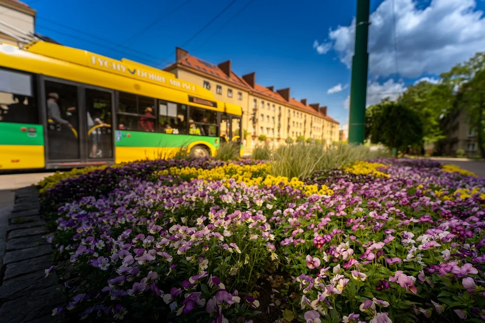 Dodatkowe kursy na Święto Miasta Tychy – sprawdź rozkład jazdy!