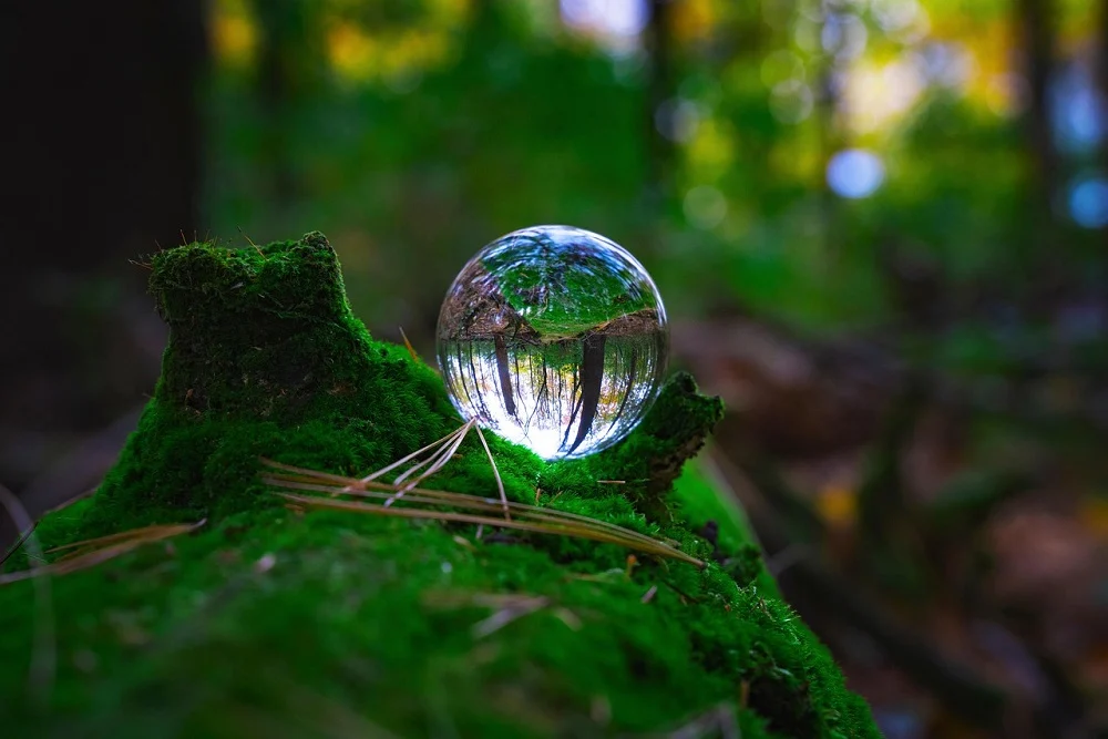 II Liceum Ogólnokształcące w Mysłowicach z dofinansowaniem na ekopracownię pod chmurką