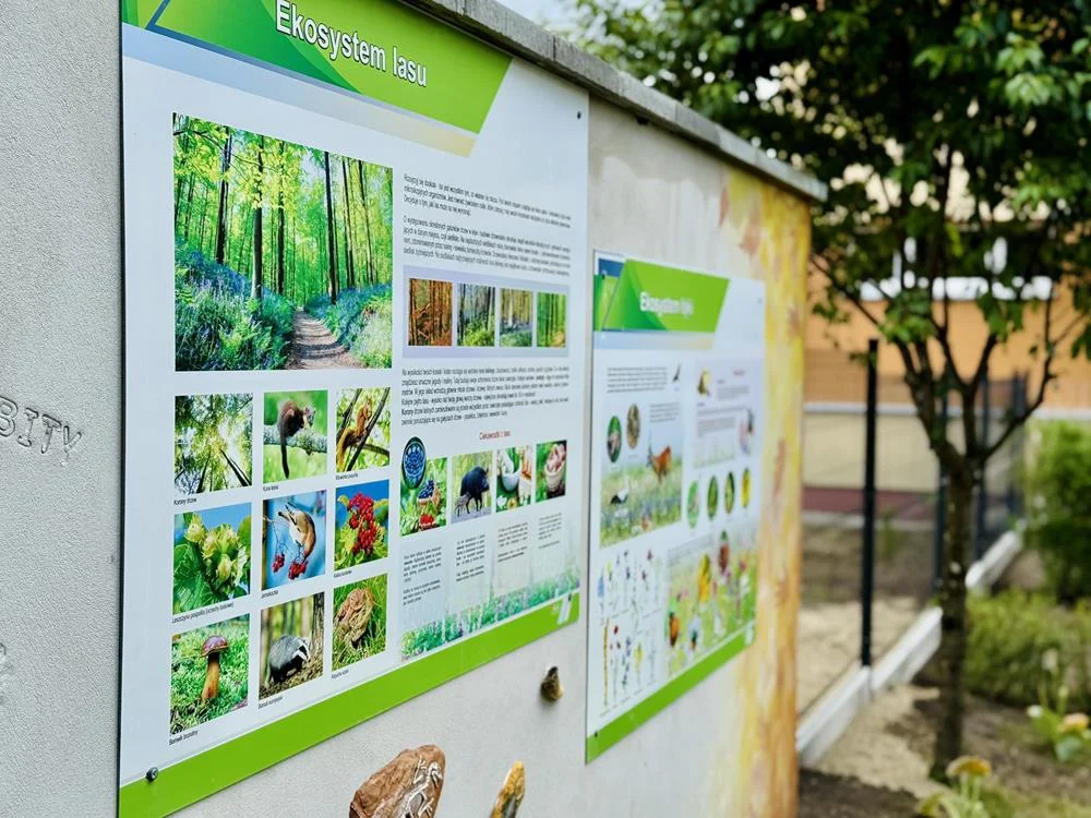 „EkoOaza 13-stki” już działa! Zielona pracownia pod chmurką w Szkole Podstawowej nr 13