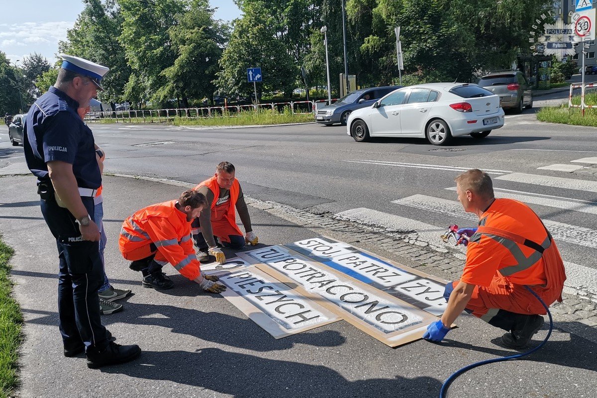 Zwiększają bezpieczeństwo pieszych. Kampania "Stój, patrz, żyj” ponownie w Rybniku