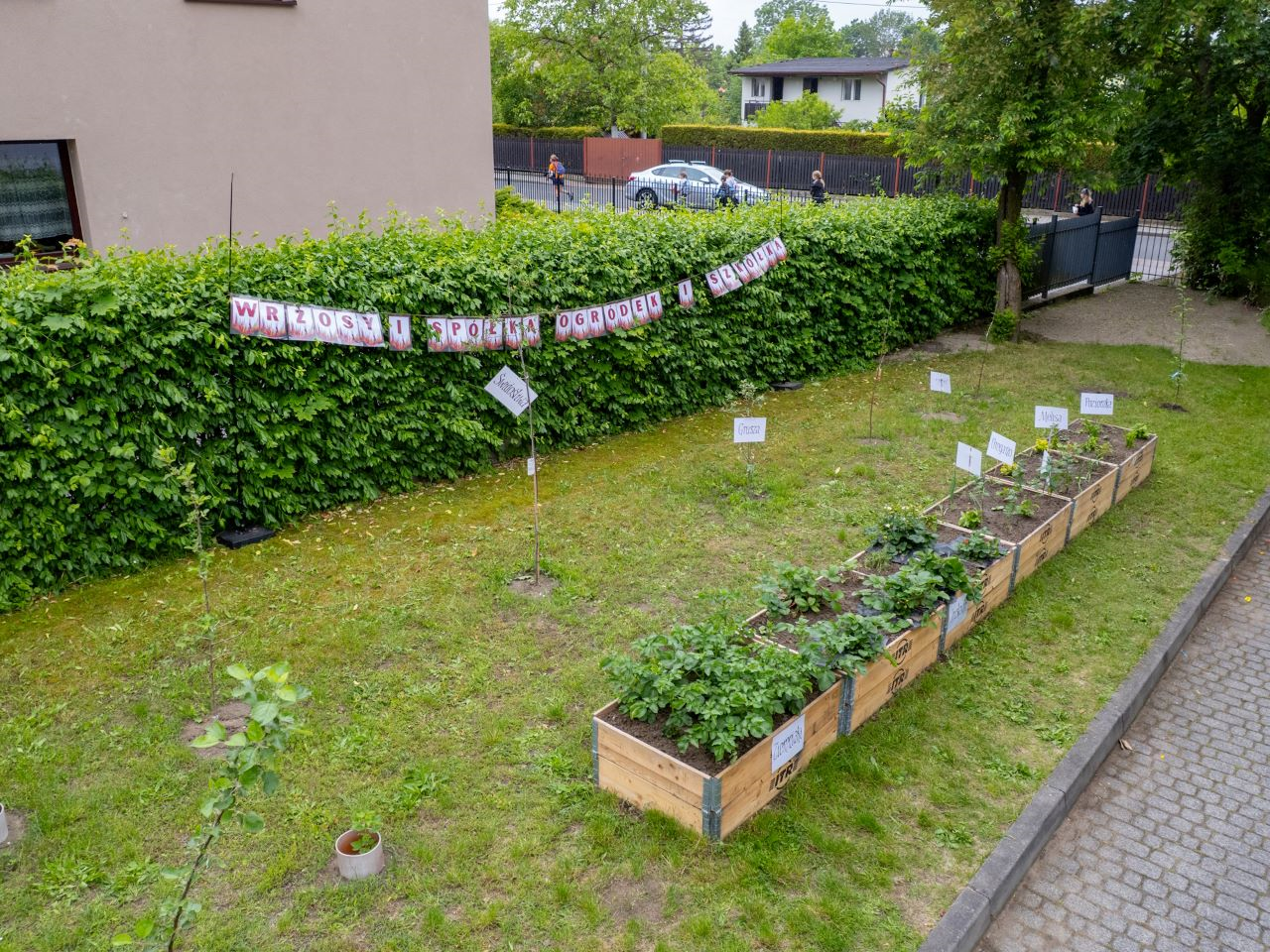 Szkoła pełna pomysłów. Czas na ogród