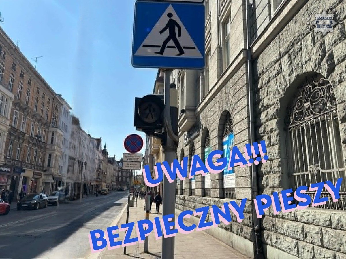 Dziś w Gliwicach trwa akcja "Bezpieczny pieszy"