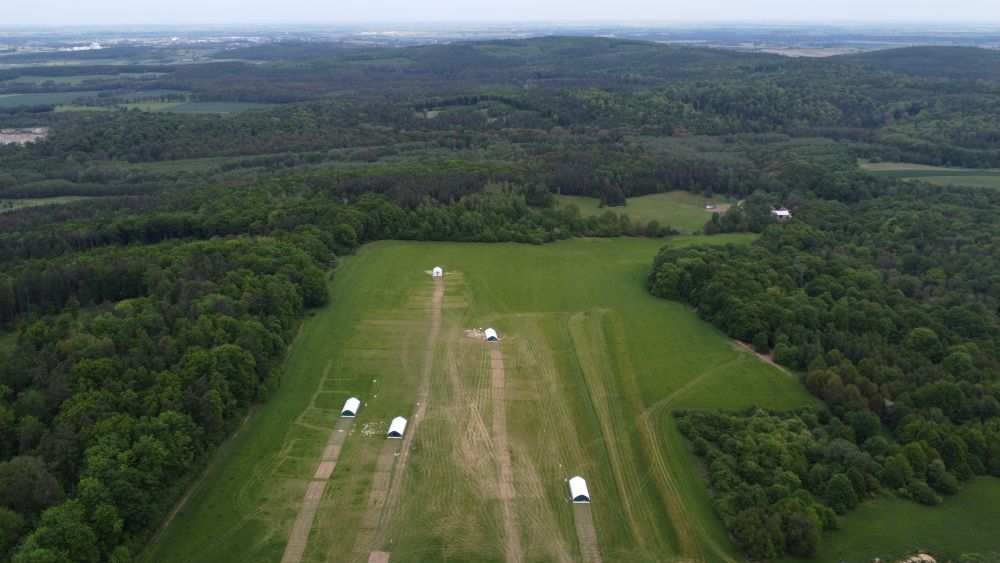 Smak, który zaczyna się na pastwisku – ekologiczny drób z Mikoszowa