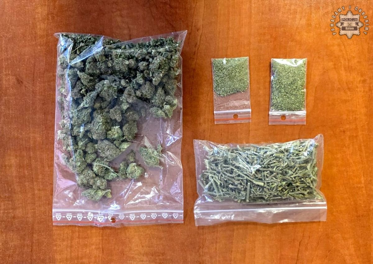 Odpowie za posiadanie narkotyków