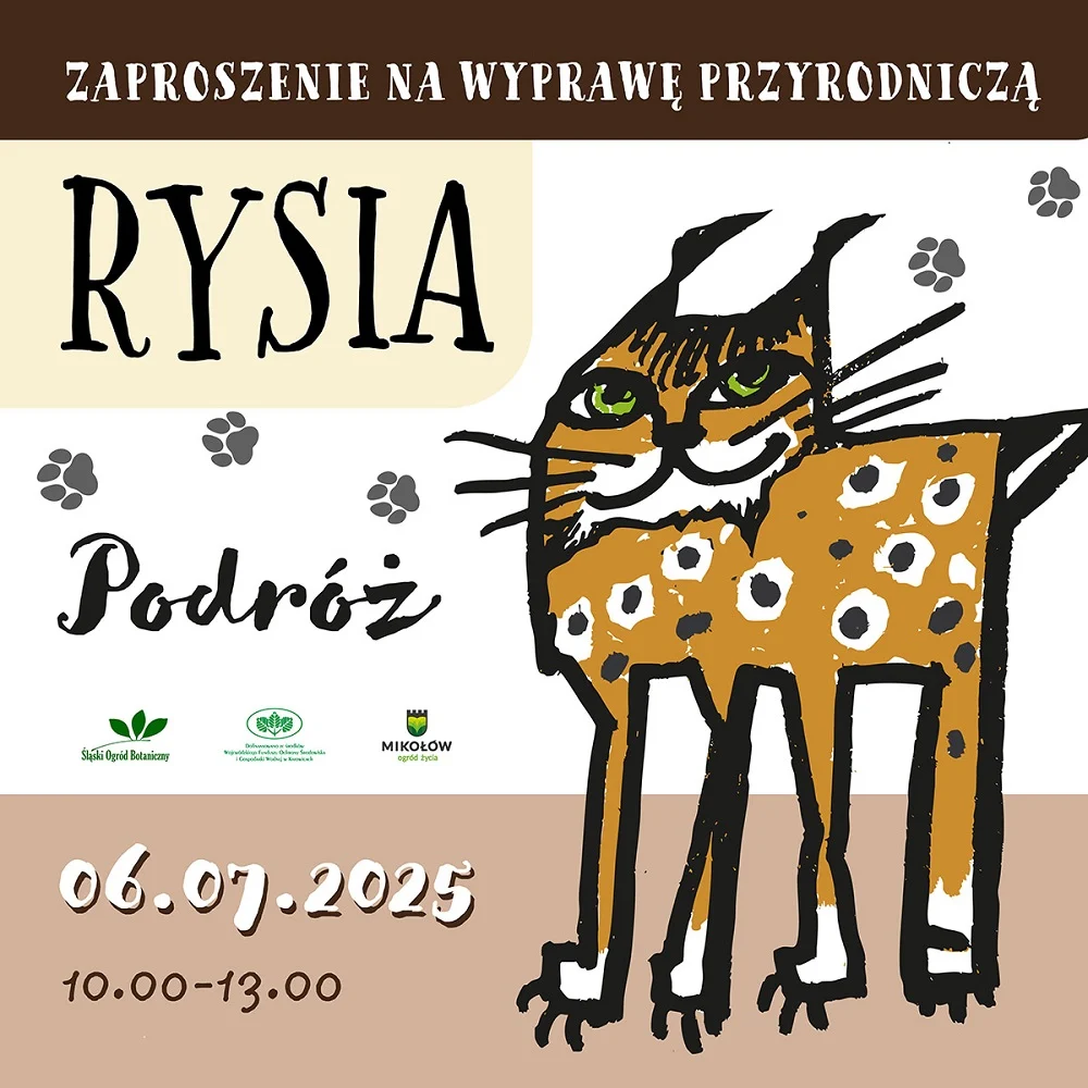 Dzień Rysia 2025 – święto przyrody, edukacji i rodzinnej zabawy