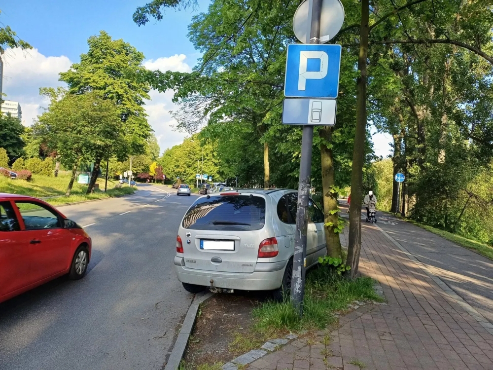 „Wyzwanie-parkowanie” - majowa akcja straży miejskiej. Prawie 1900 wykroczeń! 11