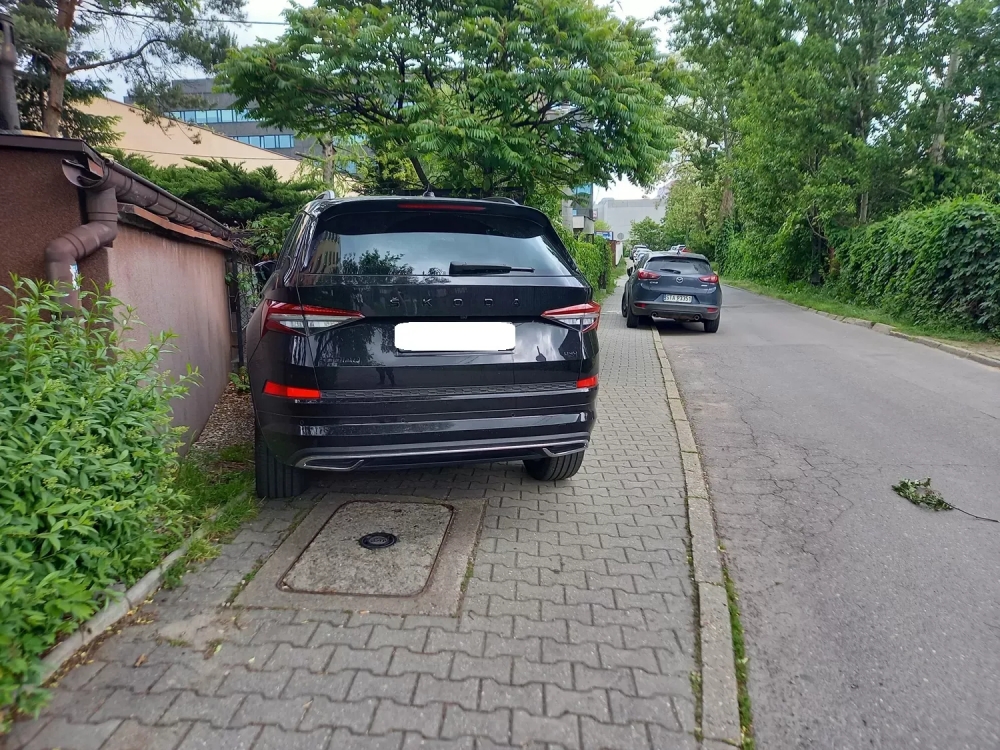 „Wyzwanie-parkowanie” - majowa akcja straży miejskiej. Prawie 1900 wykroczeń! 18