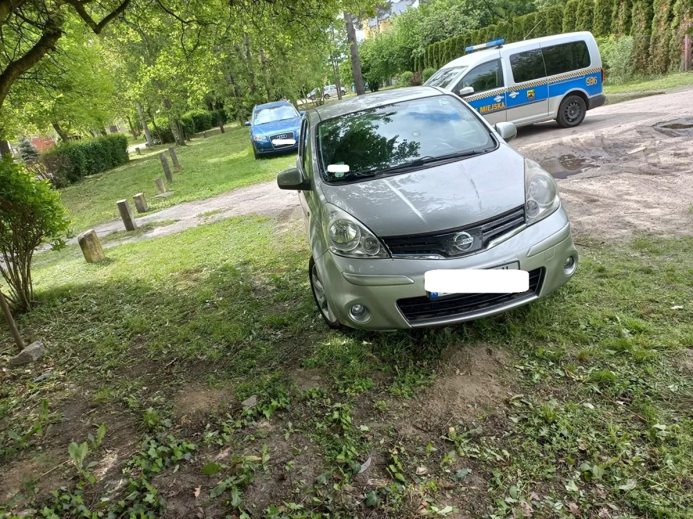 „Wyzwanie-parkowanie” - majowa akcja straży miejskiej. Prawie 1900 wykroczeń! 36