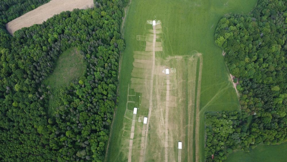 Życie na pastwisku - ekologiczna hodowla trzody, bydła i drobiu w Mikoszowie