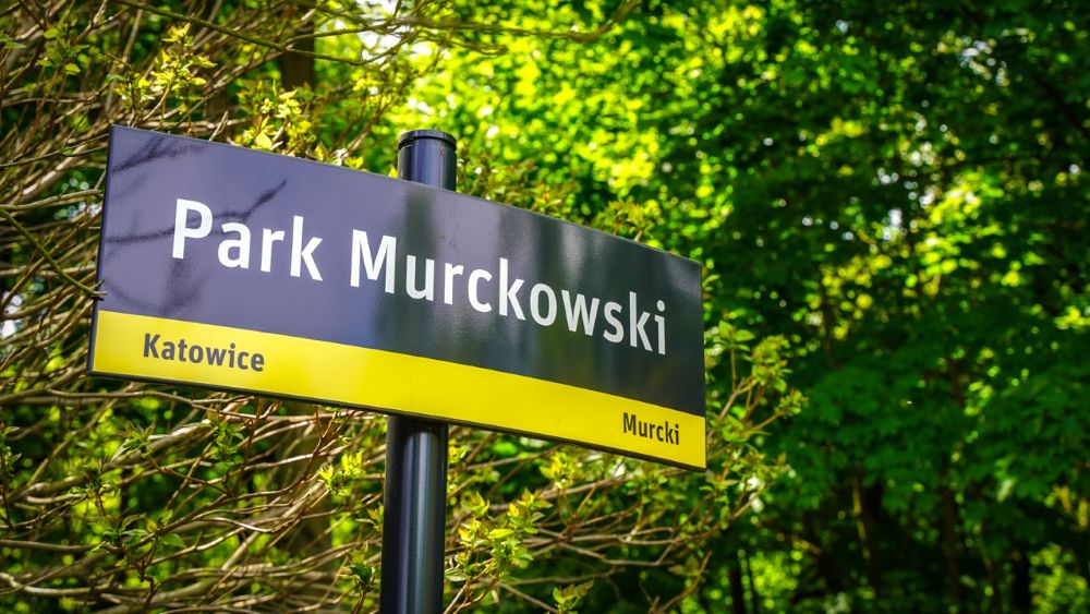 Park Murckowski zyska nowe życie – ruszają konsultacje z mieszkańcami