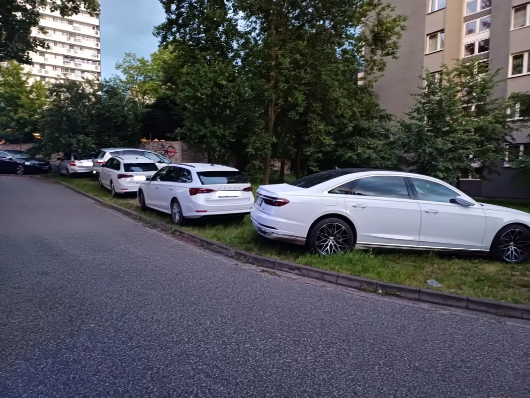 Wyzwanie – parkowanie” w Katowicach: 439 interwencji w jeden tydzień 10