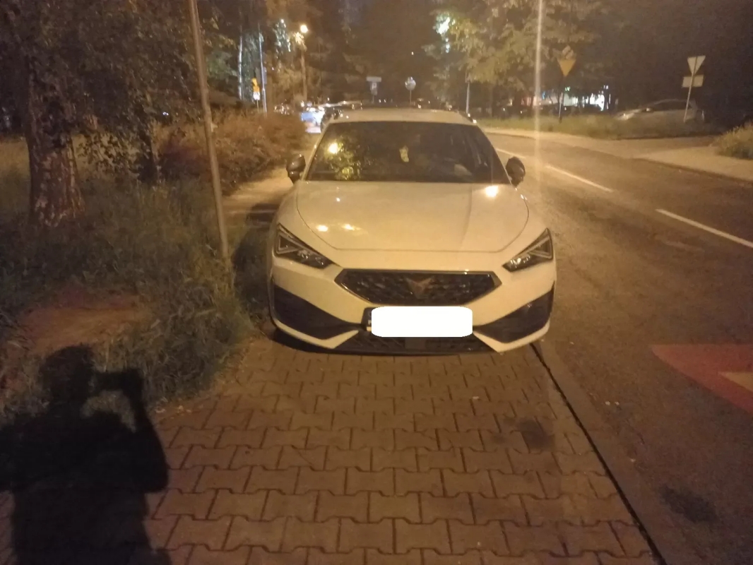 Wyzwanie – parkowanie” w Katowicach: 439 interwencji w jeden tydzień 15