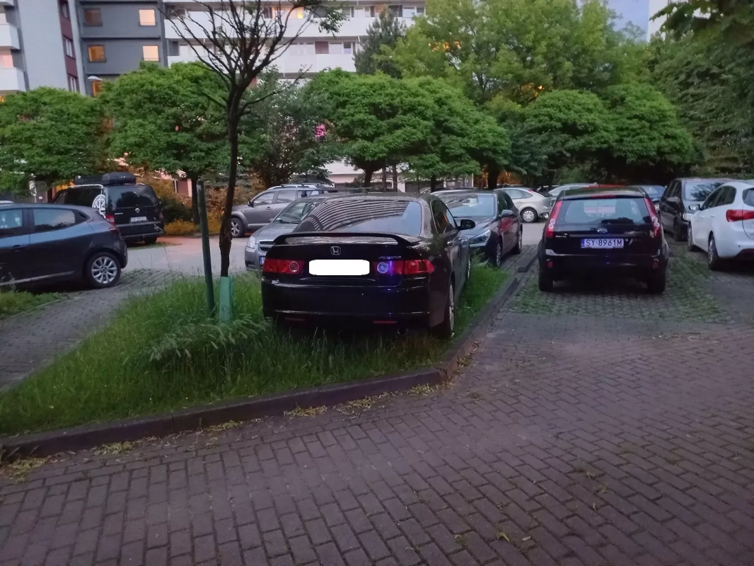 Wyzwanie – parkowanie” w Katowicach: 439 interwencji w jeden tydzień