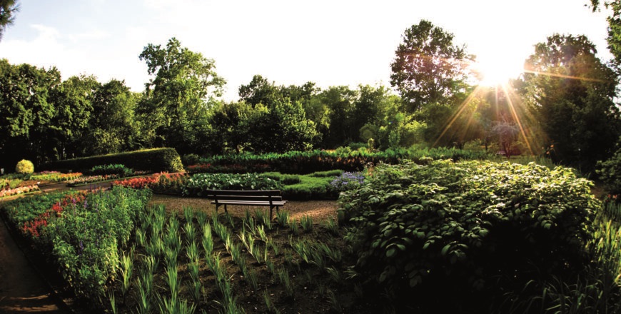 Przed nami 6. Botaniczna Scena Premier w Miejskim Ogrodzie Botanicznym