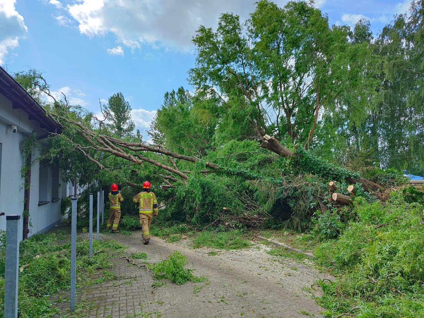 Gwałtowna burza w Zabrzu. Strażacy interweniowali w ponad 60 przypadkach