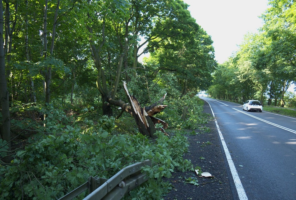 Posiedzenie Zespołu Zarządzania Kryzysowego w Zabrzu po burzach