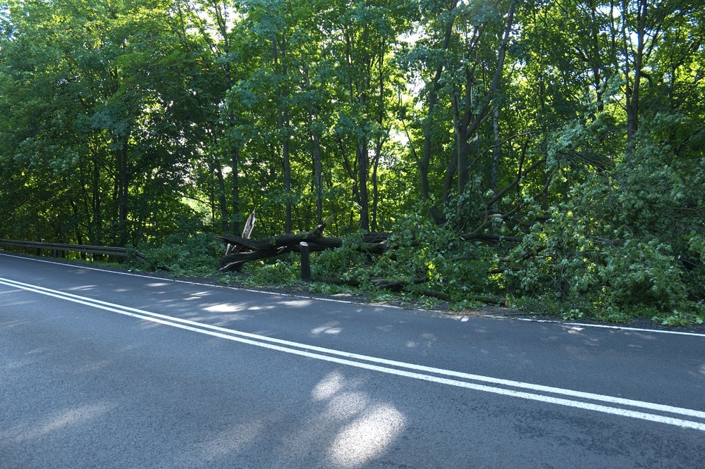 Posiedzenie Zespołu Zarządzania Kryzysowego w Zabrzu po burzach