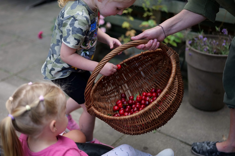 Wspólne sadzenie, gotowanie i integracja – warsztaty ekologiczno-kulinarne w DOK Biskupice
